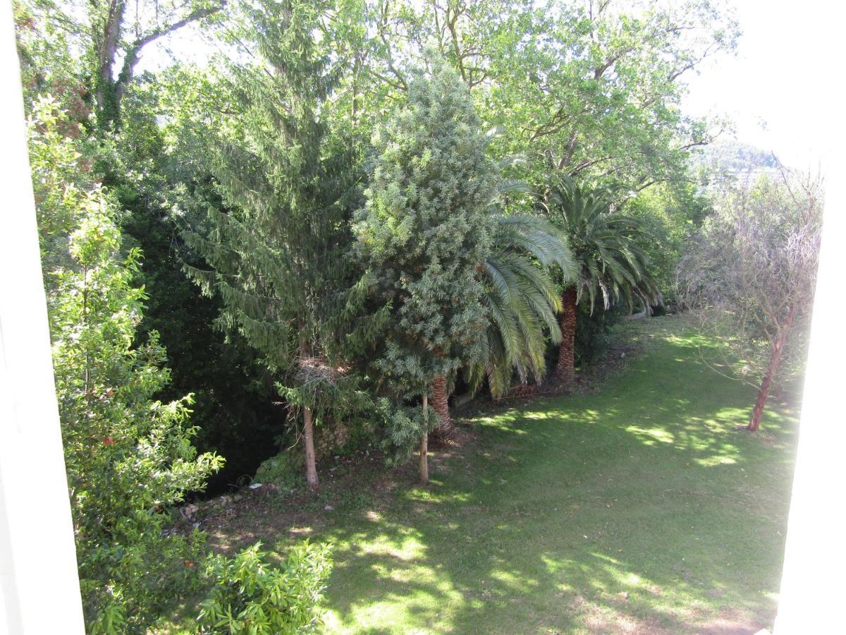 Senorio De Bizkaia Bakio